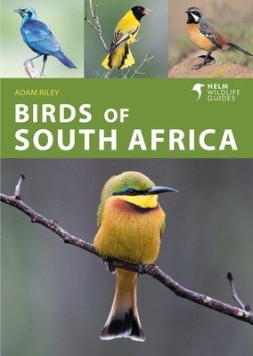 Birds of South Africa (Riley Adam)(Paperback)