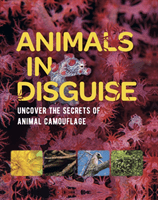 Animals in Disguise (Bright Michael)(Paperback / softback)
