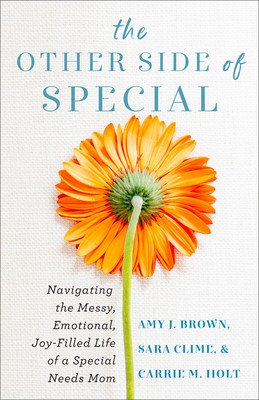 The Other Side of Special: Navigating the Messy, Emotional, Joy-Filled Life of a Special Needs Mom (Brown Amy J.)(Paperback)