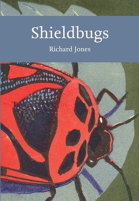 Shieldbugs (Jones Richard)(Paperback / softback)