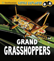 Grand Grasshoppers (Peterson Megan Cooley)(Pevná vazba)
