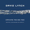 Catching the Big Fish: Meditation, Consciousness, and Creativity (Lynch David)(Pevná vazba)