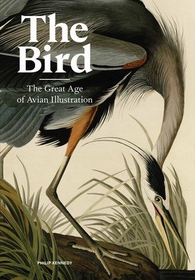 The Bird: The Great Age of Avian Illustration (Kennedy Philip)(Pevná vazba)