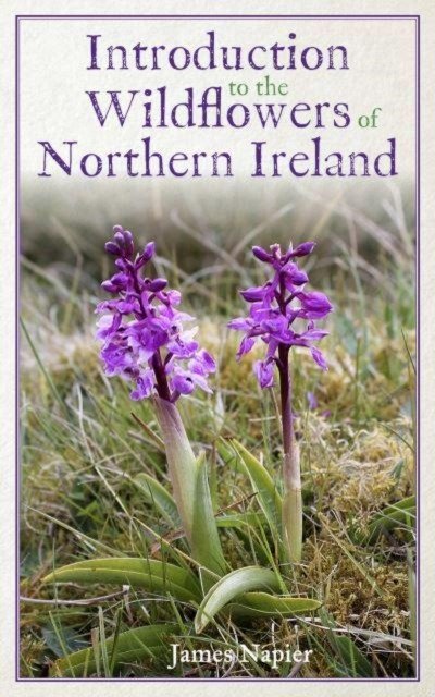 Introduction to the Wildflowers of Northern Ireland (Napier James)(Paperback / softback)