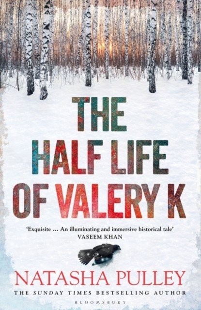 Half Life of Valery K - THE TIMES HISTORICAL FICTION BOOK OF THE MONTH (Pulley Natasha)(Paperback / softback)