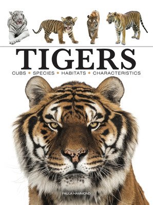 Tigers (Hammond Paula)(Paperback)