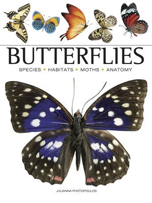 Butterflies (Photopoulos Julianna)(Paperback)
