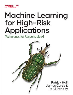 Machine Learning for High-Risk Applications: Approaches to Responsible AI (Hall Patrick)(Paperback)