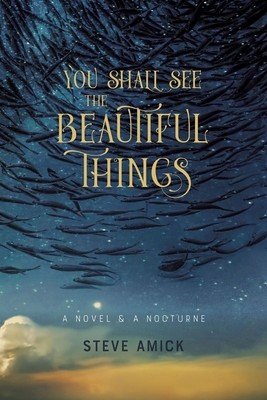 You Shall See the Beautiful Things: A Novel & a Nocturne (Amick Steve)(Paperback)