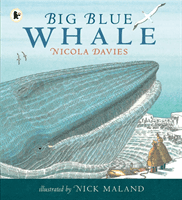 Big Blue Whale (Davies Nicola)(Paperback / softback)