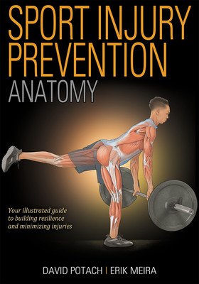 Sport Injury Prevention Anatomy (Potach David)(Paperback)