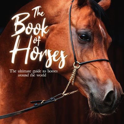 The Book of Horses: The Ultimate Guide to Horses Around the World (Books Mortimer Children's)(Paperback)