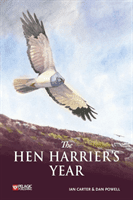 The Hen Harrier's Year (Carter Ian)(Paperback)