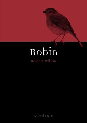 Robin (Wilson Helen F.)(Paperback)