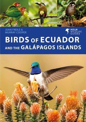 Birds of Ecuador and the Galpagos Islands (Freile Juan)(Paperback)