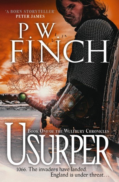 Usurper - an epic medieval adventure (Finch P. W.)(Paperback / softback)