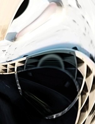 Rene Green: Pacing (Green Renee)(Paperback)