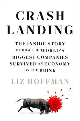 Crash Landing: The Inside Story of How the World's Biggest Companies Survived an Economy on the Brink (Hoffman Liz)(Pevná vazba)