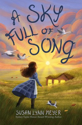 A Sky Full of Song (Meyer Susan Lynn)(Pevná vazba)