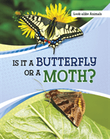 Is It a Butterfly or a Moth? (Katz Susan B.)(Paperback / softback)