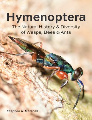 Hymenoptera: The Natural History and Diversity of Wasps, Bees and Ants (Marshall Stephen A.)(Pevná vazba)