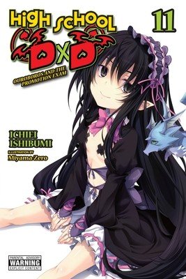 High School DXD, Vol. 11 (Light Novel) (Ishibumi Ichiei)(Paperback)