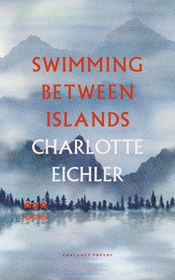Swimming Between Islands (Eichler Charlotte)(Paperback)