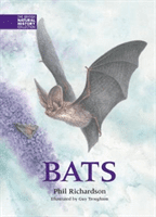 Bats (Richardson Phil)(Pevná vazba)
