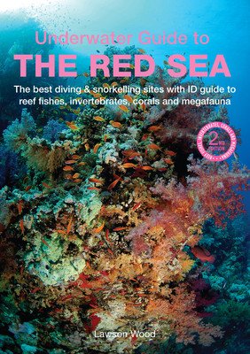 An Underwater Guide to the Red Sea (Wood Lawson)(Paperback)
