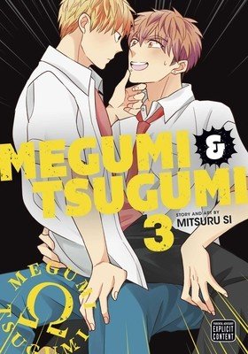 Megumi & Tsugumi, Vol. 3 (Si Mitsuru)(Paperback)