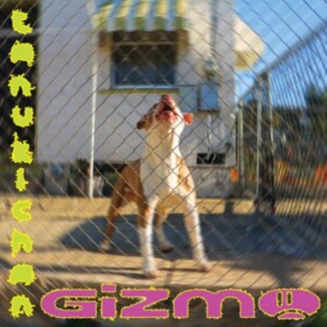 Gizmo (Tanukichan) (CD / Album)