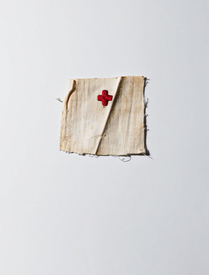 Henry Leutwyler: International Red Cross & Red Crescent Museum (Leutwyler Henry)(Pevná vazba)