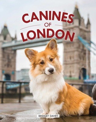 Canines of London (Dog Photography, Dog Lovers Gift) (Davey Bridget)(Pevná vazba)
