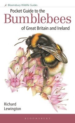 Pocket Guide to the Bumblebees of Great Britain and Ireland (Lewington Richard)(Paperback)