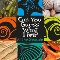 Can You Guess What I Am?: At the Seaside (Percy J.P.)(Paperback / softback)