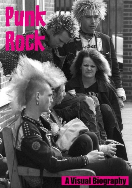 Punk Rock A Visual Biography (Francis Andy)(Paperback / softback)