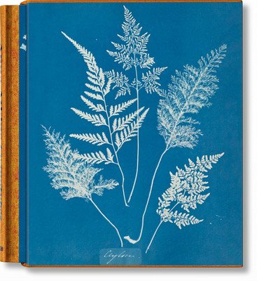 Anna Atkins. Cyanotypes (Walther Peter)(Pevná vazba)