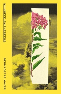 Milkweed Smithereens (Mayer Bernadette)(Paperback)