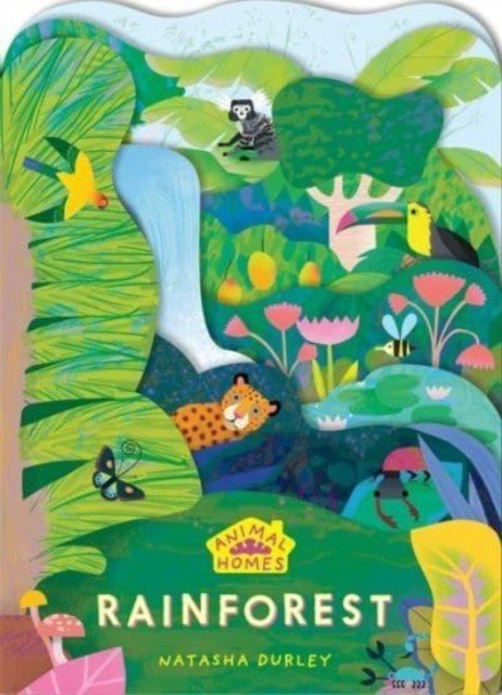 Animal Homes: Rainforest(Board book)