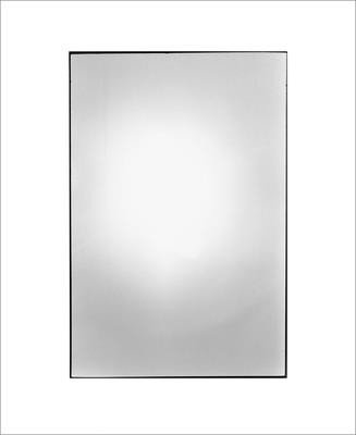 Zoe Leonard: Available Light (Leonard Zoe)(Pevná vazba)