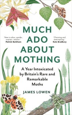 Much ADO about Mothing: A Year Intoxicated by Britain's Rare and Remarkable Moths (Lowen James)(Paperback)