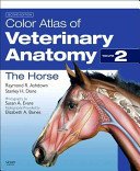 Color Atlas of Veterinary Anatomy, Volume 2, the Horse (Ashdown Raymond R.)(Paperback)