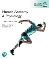 Human Anatomy & Physiology, Global Edition (Marieb Elaine)(Paperback / softback)