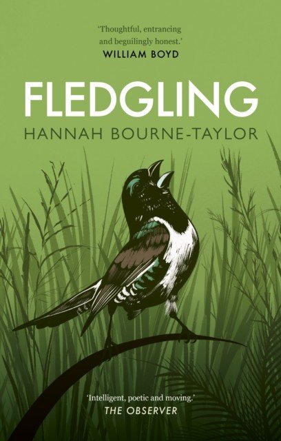 Fledgling (Bourne-Taylor Hannah)(Paperback / softback)