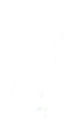 Wild Guide North East England: Adventures in Northumberland, Yorkshire Moors and North Pennines (Banks Sarah)(Paperback)