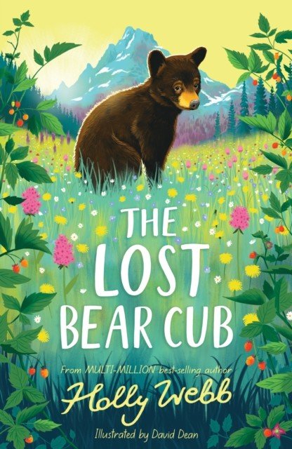 Lost Bear Cub (Webb Holly)(Paperback / softback)