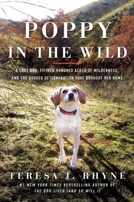 Poppy in the Wild: A Lost Dog, Fifteen Hundred Acres of Wilderness, and the Dogged Determination That Brought Her Home (Rhyne Teresa J.)(Paperback)