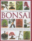 The Complete Practical Encyclopedia of Bonsai: The Essential Step-By-Step Guide to Creating, Growing, and Displaying Bonsai with Over 800 Photographs (Norman Ken)(Pevná vazba)