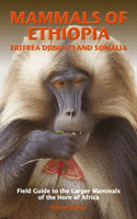 MAMMALS OF ETHIOPIA, ERITREA, DJIBOUTI AND SOMALIA - Field Guide to the Larger Mammals of the Horn of Africa (Jenner Trevor)(Paperback / softback)