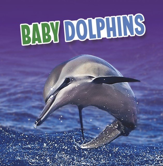 Baby Dolphins (Rustad Martha E. H.)(Paperback / softback)